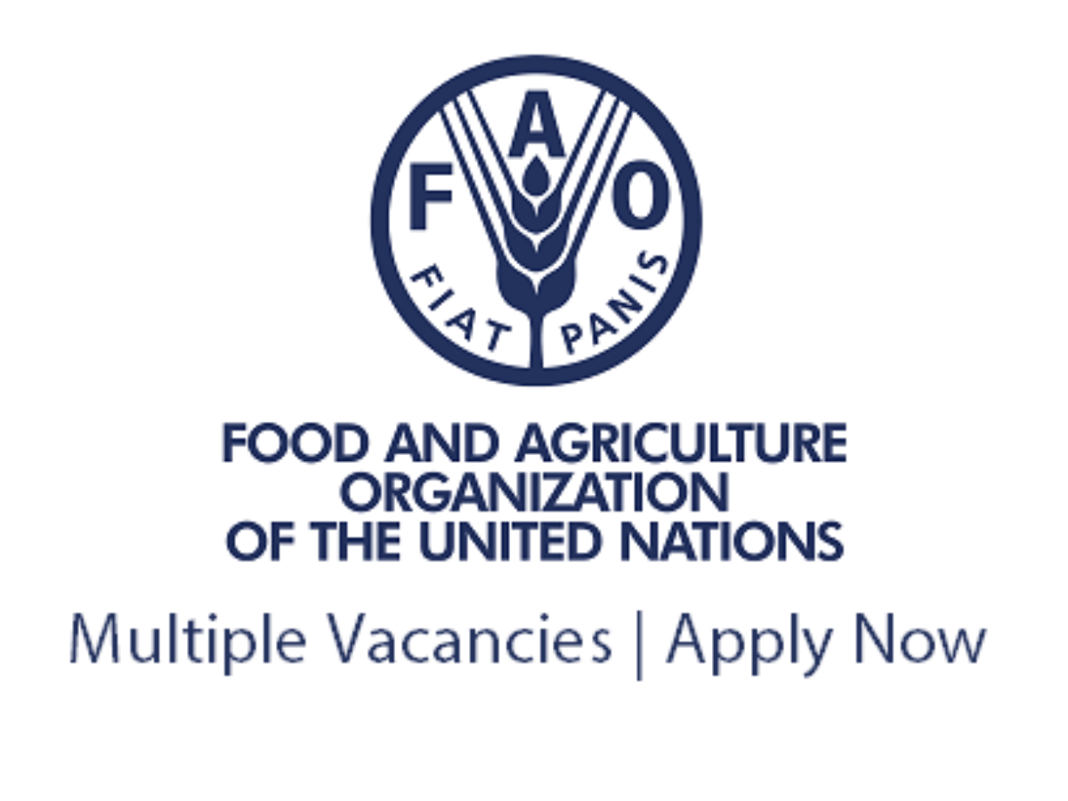 Food and agriculture organization fao. Food and Agriculture Organization (FAO),“the State of worldfisheries and Aquaculture 2016”. Лого ФАО ПНЖ. ФАО эмблема значение.