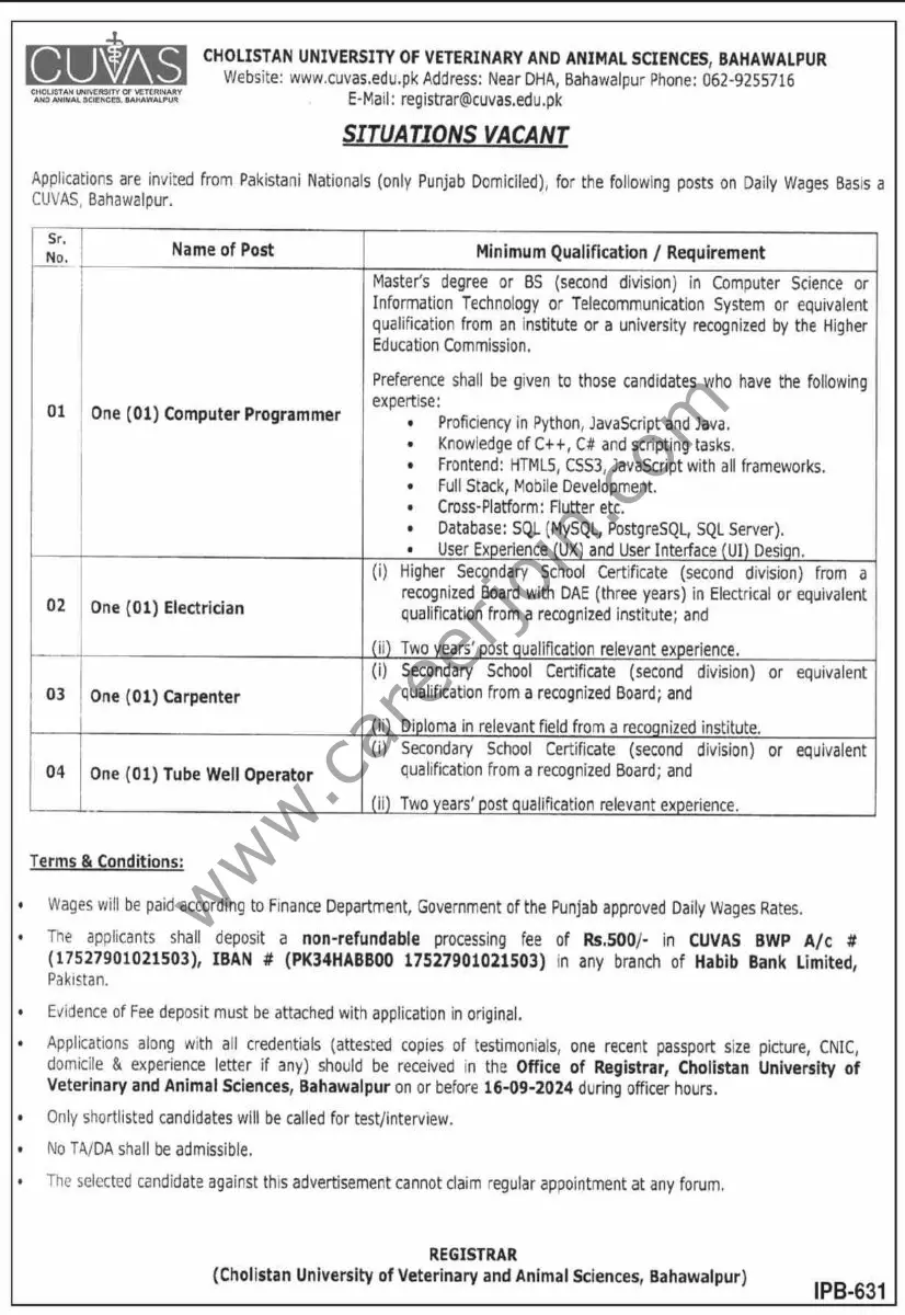 Cholistan University of Veterinary & Animal Sciences Bahawalpur Jobs 29 August 2024 Dawn 1