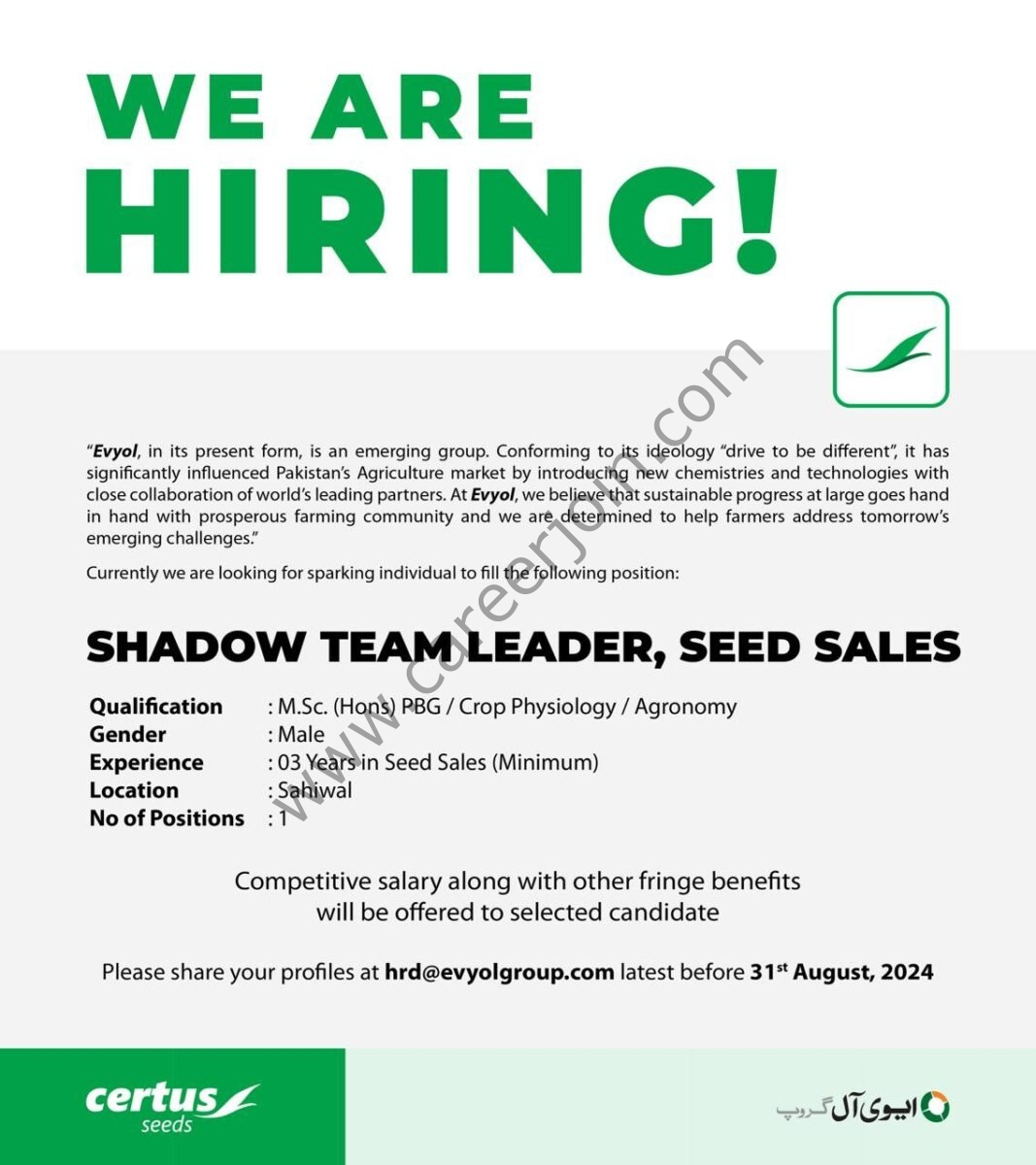 Evyol Group Jobs Shadow Team Leader 1