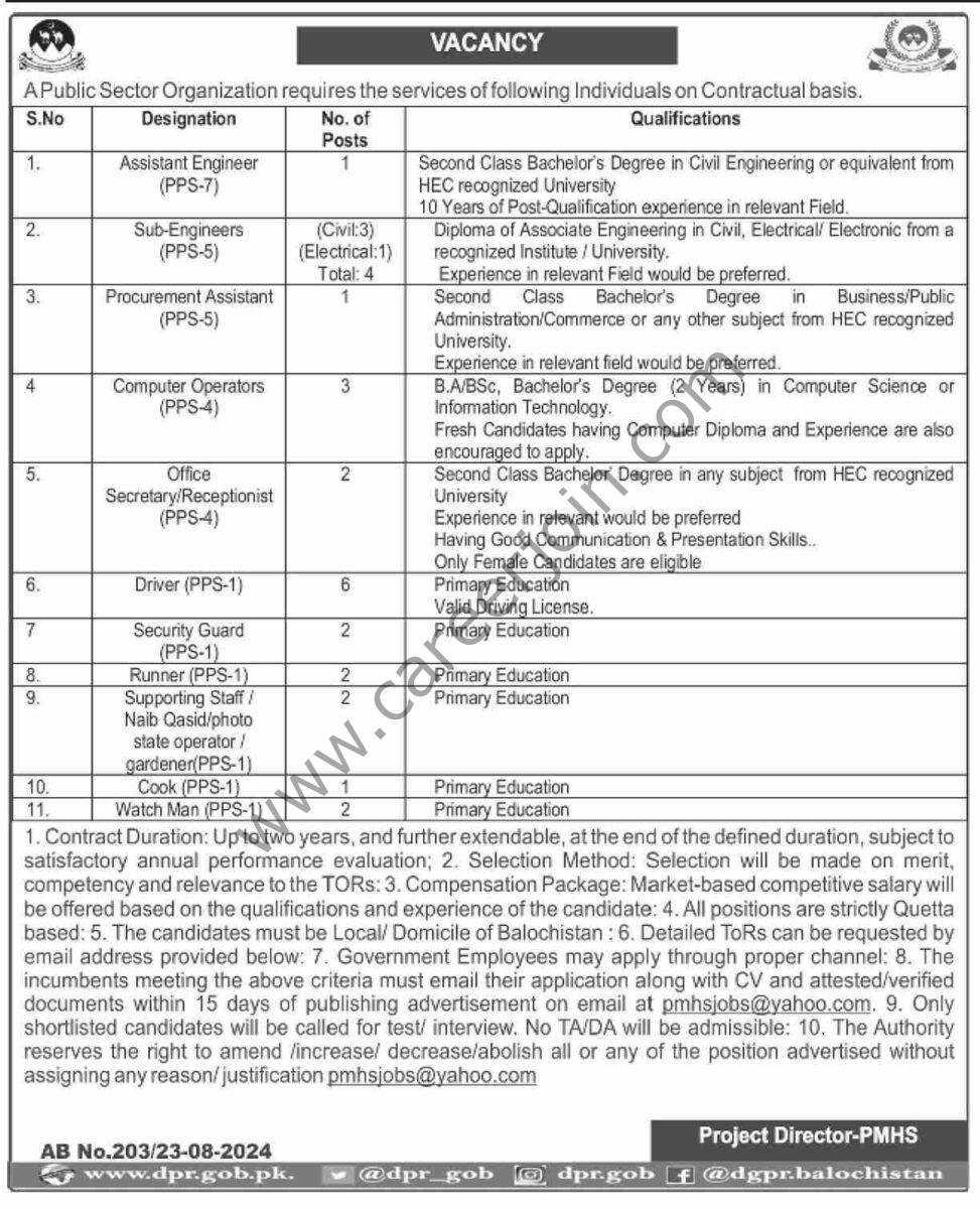 Public Sector Organization Jobs 24 August 2024 Dawn 1