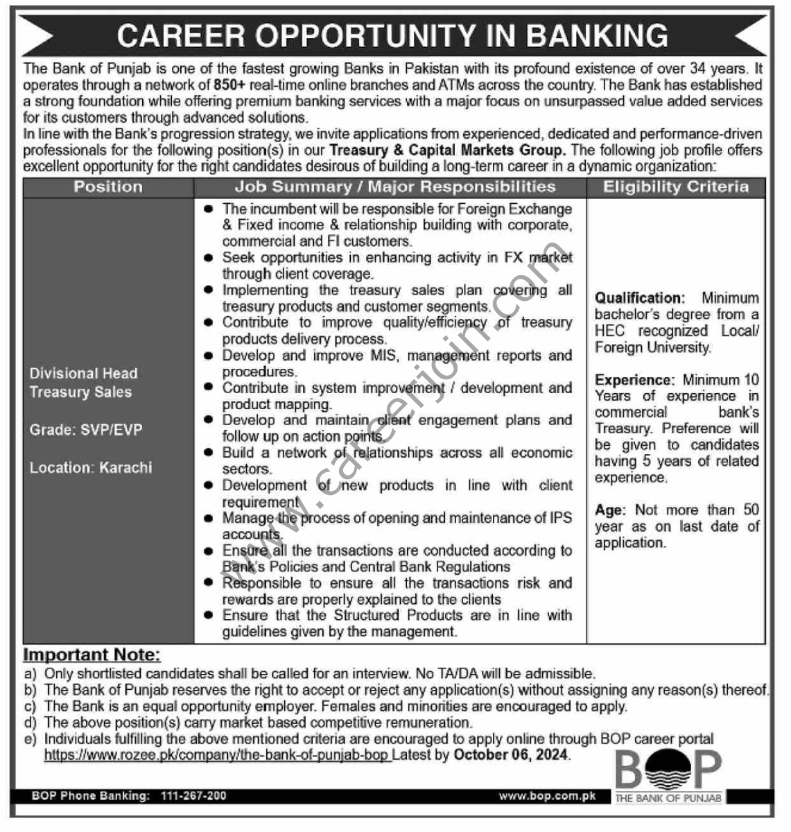 Bank of Punjab BOP Jobs 22 September 2024 Dawn 1