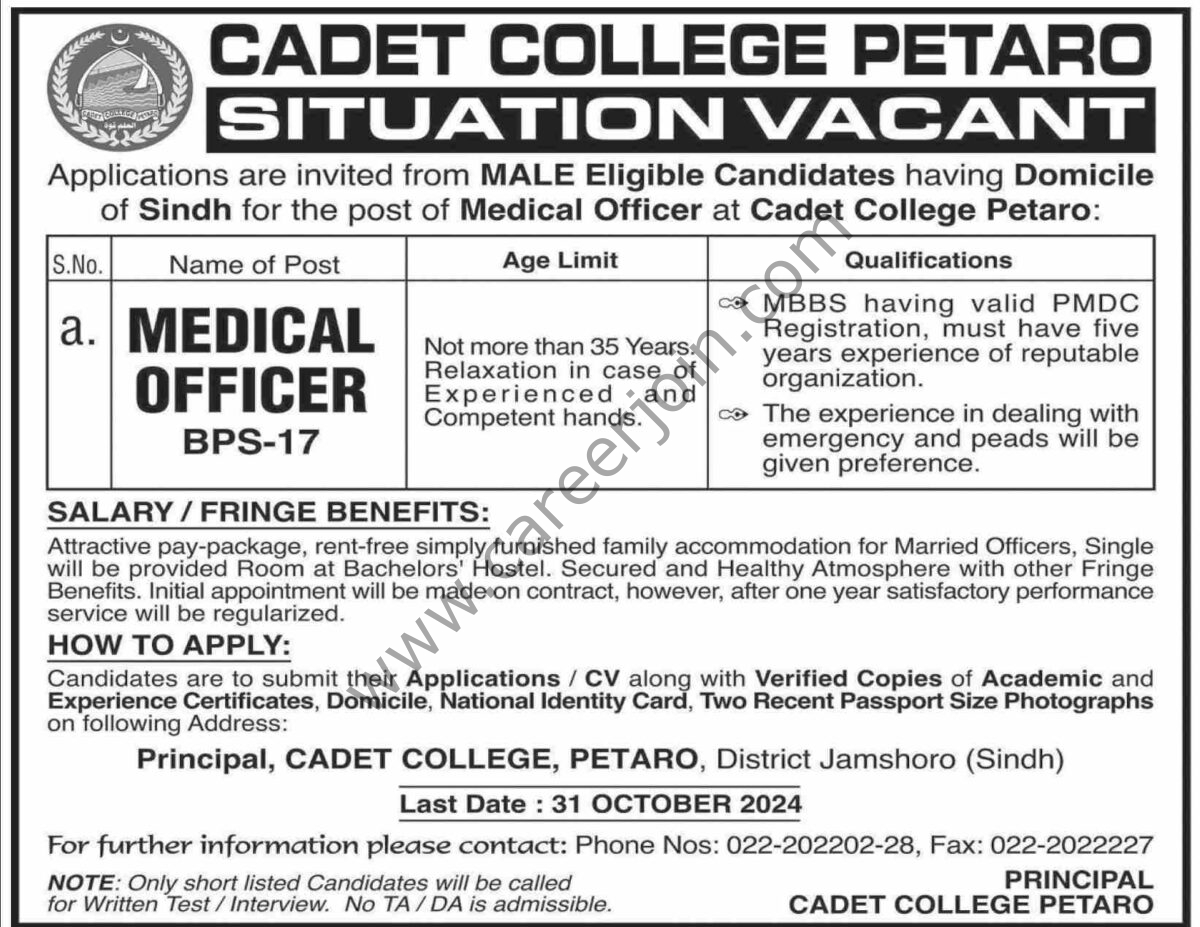 Cadet College Petaro Jobs 13 October 2024 Dawn 1