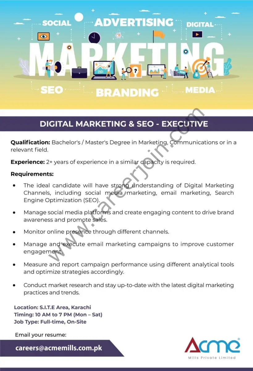 Acme Mills (Pvt) Ltd Jobs Digital Marketing & SEO Executive 1