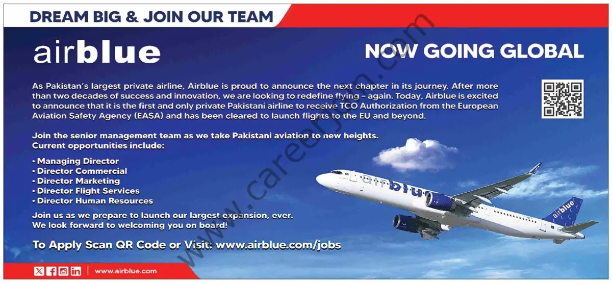 Air Blue Jobs 22 December 2024 Dawn 1