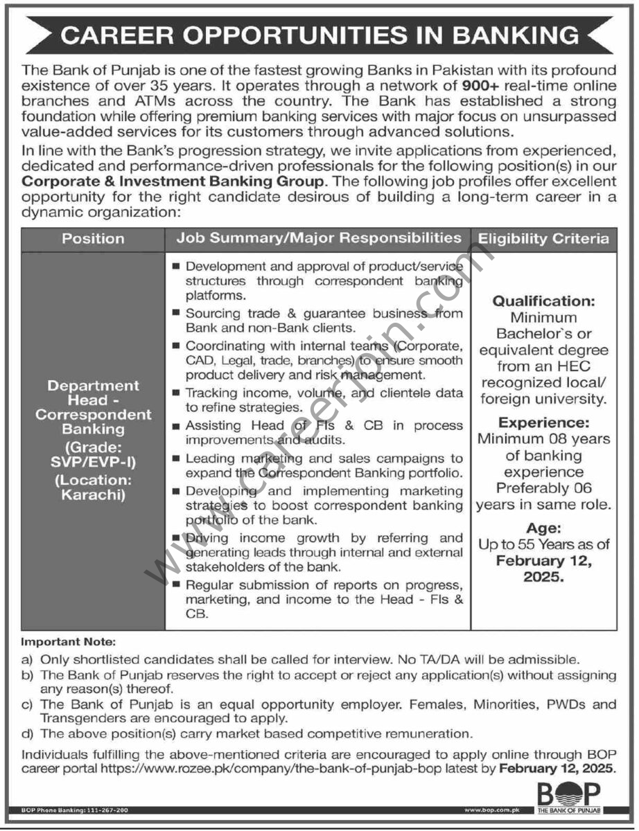 Bank of Punjab BOP Jobs 02 February 2025 Dawn 1