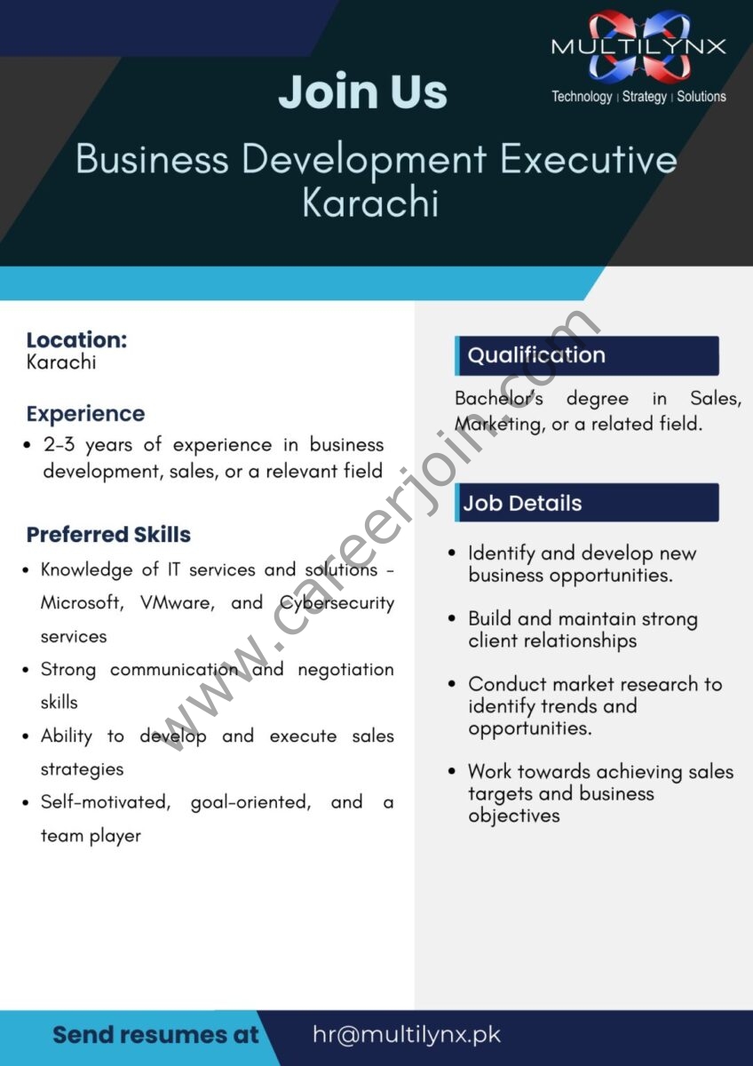 Multilynx Pvt Ltd Jobs Business Development Executive 1