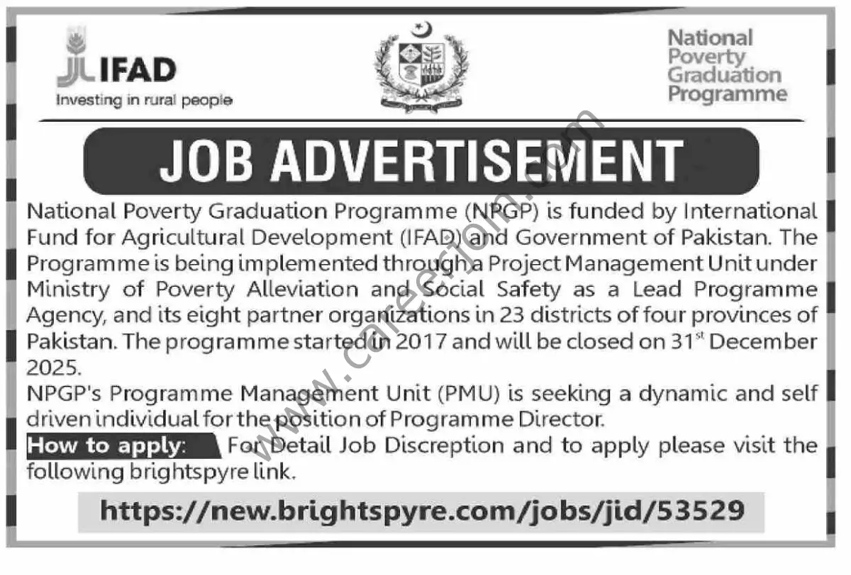 National Poverty Graduation Programme NPGP Jobs 12 February 2025 Dawn 1