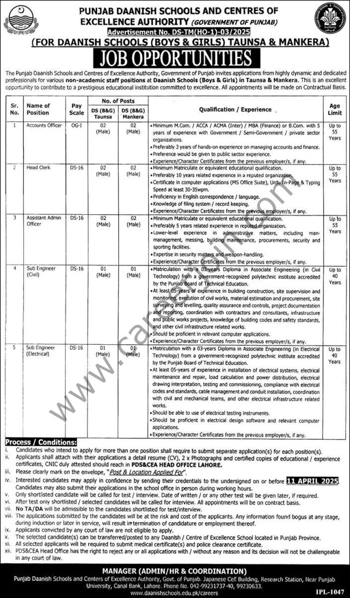 Punjab Daanish Schools Taunsa & Mankera Jobs 20 March 2025 Express 1